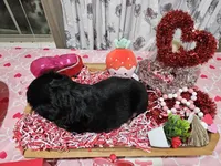 processed/e9b06e99-118f-438e-891f-dd0a6c001ba6/listing/f4644528-436b-43c9-88b9-fdc6270d9011/40989e89-88a5-49e6-8146-9803eeb3f6e9