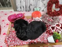 processed/e9b06e99-118f-438e-891f-dd0a6c001ba6/listing/f4644528-436b-43c9-88b9-fdc6270d9011/660f85bc-9887-4157-8586-669268173f4b