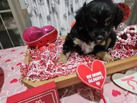 processed/e9b06e99-118f-438e-891f-dd0a6c001ba6/listing/f4644528-436b-43c9-88b9-fdc6270d9011/dc997e01-660d-4adf-b7bc-a9efbb899fbe