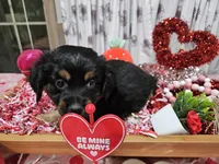 processed/e9b06e99-118f-438e-891f-dd0a6c001ba6/listing/f4644528-436b-43c9-88b9-fdc6270d9011/f412a389-7b47-454c-a097-992ef8d51a85