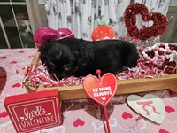 processed/e9b06e99-118f-438e-891f-dd0a6c001ba6/listing/f4644528-436b-43c9-88b9-fdc6270d9011/f7c9cff3-8bcc-4582-9b67-68ccd5d6e021