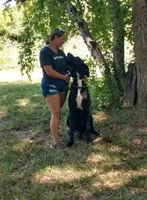 processed/e9b69352-f4c7-4058-a026-d44ddeffe662/facility/d83baafb-5c30-4bef-84b8-4b08fa87fd72