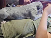 processed/e9b69352-f4c7-4058-a026-d44ddeffe662/listing/27de6f81-e3aa-4ccd-9f14-52540fc62097/4b26d2be-3bf8-4efb-a1dc-fd422a0b1e46