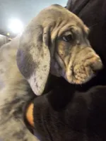 processed/e9b69352-f4c7-4058-a026-d44ddeffe662/listing/27de6f81-e3aa-4ccd-9f14-52540fc62097/5070be00-a21f-44dc-ac73-deebabbd5519