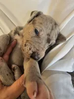 processed/e9b69352-f4c7-4058-a026-d44ddeffe662/listing/27de6f81-e3aa-4ccd-9f14-52540fc62097/6be45c5d-0402-4d0a-a68f-9a54413ede98