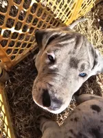 processed/e9b69352-f4c7-4058-a026-d44ddeffe662/listing/27de6f81-e3aa-4ccd-9f14-52540fc62097/d36fca43-354e-46d8-9e21-16ac0205e3c1