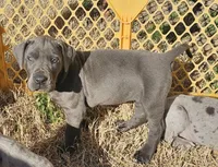 processed/e9b69352-f4c7-4058-a026-d44ddeffe662/listing/29a8cc1d-23d8-4422-89e3-488d515bfeb3/44e92160-de96-425e-8a38-924cd2409ad7