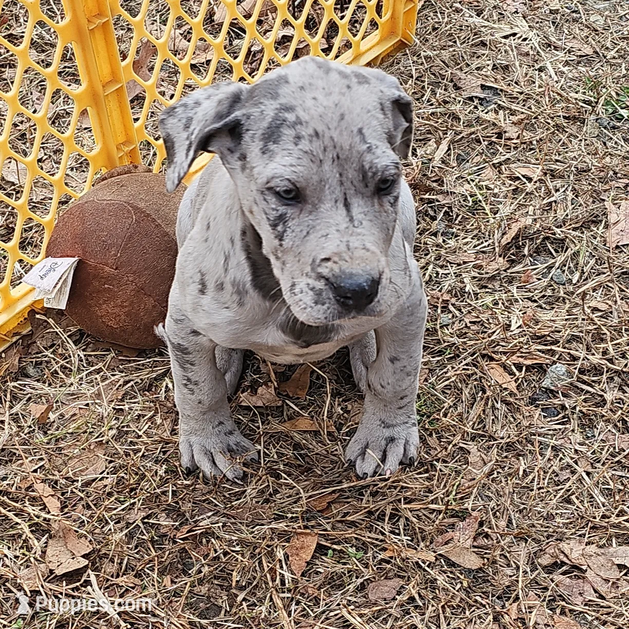 processed/e9b69352-f4c7-4058-a026-d44ddeffe662/listing/fd12adad-0fa8-4779-ab1d-177a4fb804d6/072a7054-dcd2-435d-b0cc-20dd6248817d