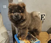 processed/e9c7aa76-2dc9-4688-a3f9-632fc49093e4/listing/a6399d39-ea84-4f69-8127-1b5615758f07/bd5c970a-2541-4114-b341-38ccbcde4434