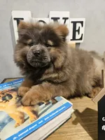 processed/e9c7aa76-2dc9-4688-a3f9-632fc49093e4/listing/a6399d39-ea84-4f69-8127-1b5615758f07/e6eb8b2e-bc1f-4938-b937-a47f787a66df