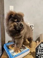 processed/e9c7aa76-2dc9-4688-a3f9-632fc49093e4/listing/a6399d39-ea84-4f69-8127-1b5615758f07/f78bfce2-b2f3-4fb9-85a4-6a69e2435b4d