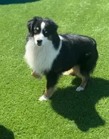 processed/e9cfe49a-875e-4522-af73-bbeaad96248e/listing/a9067c59-4f67-41c0-b347-bc136237d29e/5b88e72a-eb70-4c5e-864e-eed525de637e