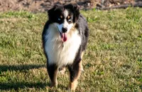 processed/e9cfe49a-875e-4522-af73-bbeaad96248e/listing/a9067c59-4f67-41c0-b347-bc136237d29e/875e9ea1-db17-46a0-9f1d-1089decc5641