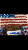 AKC Blue Male, a male Doberman Pinscher for sale in Visalia, CA – 2 of 10