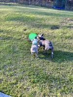 processed/e9d373db-c3c1-4577-8b23-98efa83088d0/facility/25be6b71-7c95-4c62-8518-9aee1e694233