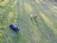 processed/e9d373db-c3c1-4577-8b23-98efa83088d0/facility/524a7c1f-0c36-4ab2-ae54-b453d8b78a1c