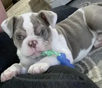 processed/e9d373db-c3c1-4577-8b23-98efa83088d0/facility/72e2d3aa-ca2a-47bc-9a85-cee7c5eda5b0