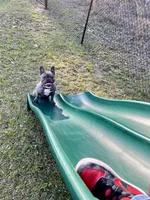 processed/e9d373db-c3c1-4577-8b23-98efa83088d0/facility/777d56c1-4c05-4f67-bd51-dfef1a1b8aba