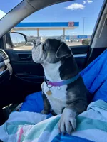 processed/e9d373db-c3c1-4577-8b23-98efa83088d0/facility/9769889e-d707-4f04-9050-150121e948b1