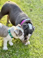 processed/e9d373db-c3c1-4577-8b23-98efa83088d0/facility/af51ec43-e96f-4aff-b59c-0853e82f7996