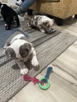 processed/e9d373db-c3c1-4577-8b23-98efa83088d0/facility/df9f9f9b-f0fb-4ae7-8a00-0c823451d70d