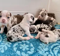 processed/e9d373db-c3c1-4577-8b23-98efa83088d0/facility/ef59fe0d-bc7b-45f6-a28d-5562763a89cd