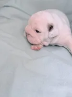 processed/e9d373db-c3c1-4577-8b23-98efa83088d0/listing/0b0d2b26-e241-4b1a-aaa1-36b1457c46db/425655d9-83e8-49c3-8f52-3ffd944d8b46