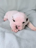 processed/e9d373db-c3c1-4577-8b23-98efa83088d0/listing/0b0d2b26-e241-4b1a-aaa1-36b1457c46db/61d10897-601f-4d88-85b4-32474c169f1e