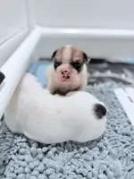 processed/e9d373db-c3c1-4577-8b23-98efa83088d0/listing/0b0d2b26-e241-4b1a-aaa1-36b1457c46db/69df97c8-8d8b-4f9c-bbcf-6d067eb98765