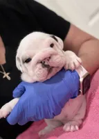 processed/e9d373db-c3c1-4577-8b23-98efa83088d0/listing/0b0d2b26-e241-4b1a-aaa1-36b1457c46db/a5eef1e1-038e-4dbd-8ba8-19c682d49067