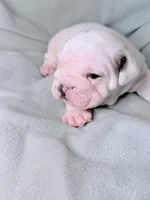 processed/e9d373db-c3c1-4577-8b23-98efa83088d0/listing/0b0d2b26-e241-4b1a-aaa1-36b1457c46db/f74d6578-c1e8-47ac-94a2-e05f320ee8ff