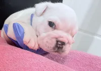 processed/e9d373db-c3c1-4577-8b23-98efa83088d0/listing/37703771-3b0d-4573-b44b-dad70c6a263f/35a30fbf-6cb9-4652-a567-ffbc96ba78f5