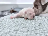 processed/e9d373db-c3c1-4577-8b23-98efa83088d0/listing/37703771-3b0d-4573-b44b-dad70c6a263f/400bbbd5-5545-4a09-aee5-bd174e307b52