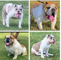 processed/e9d373db-c3c1-4577-8b23-98efa83088d0/listing/37703771-3b0d-4573-b44b-dad70c6a263f/5c7ee869-6656-40cd-b981-231c1865b72f