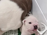 processed/e9d373db-c3c1-4577-8b23-98efa83088d0/listing/37703771-3b0d-4573-b44b-dad70c6a263f/e37a4953-4d6f-4670-843c-df5fd10350de