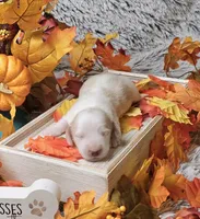 processed/e9d9056a-785d-427d-8488-d78ce6eef194/listing/45388187-c0d1-484b-9390-c36c953f5e77/1817d401-9a7a-41ab-b9a8-5c5fd2a57528