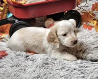 processed/e9d9056a-785d-427d-8488-d78ce6eef194/listing/45388187-c0d1-484b-9390-c36c953f5e77/42581231-30bb-4bdf-8fe2-0ecdc9895a37