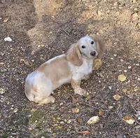 processed/e9d9056a-785d-427d-8488-d78ce6eef194/listing/45388187-c0d1-484b-9390-c36c953f5e77/5d9ebcdf-75fb-4ffc-8b00-3012139a450c