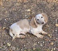 processed/e9d9056a-785d-427d-8488-d78ce6eef194/listing/45388187-c0d1-484b-9390-c36c953f5e77/7fb72585-f112-4f98-8289-0e98080682a5