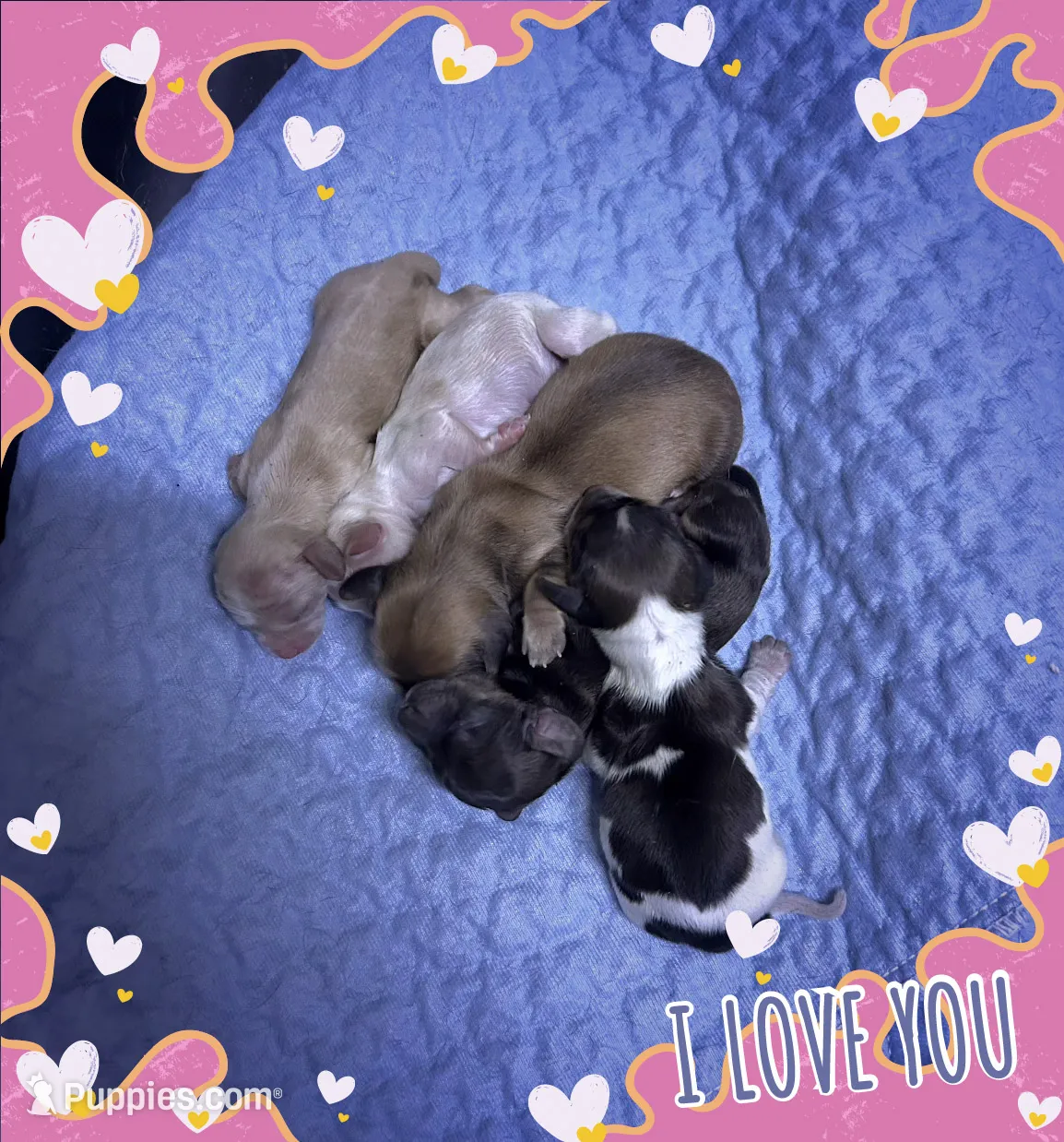 processed/e9d9056a-785d-427d-8488-d78ce6eef194/listing/45388187-c0d1-484b-9390-c36c953f5e77/b926de9d-23ba-4b89-9c3a-8bbb92895c68