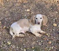 processed/e9d9056a-785d-427d-8488-d78ce6eef194/listing/45388187-c0d1-484b-9390-c36c953f5e77/c6f24da1-3ebf-466c-ac84-0d21a264e90b