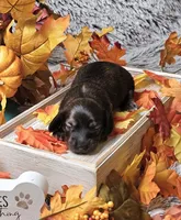 processed/e9d9056a-785d-427d-8488-d78ce6eef194/listing/71bad4b5-386d-4df0-8720-543640410113/838d9cb5-ea11-465f-a71d-a93d932c693d