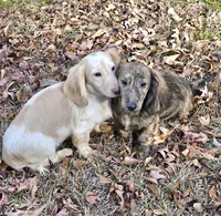 processed/e9d9056a-785d-427d-8488-d78ce6eef194/listing/71bad4b5-386d-4df0-8720-543640410113/9700aa3e-2f7c-4014-9f16-a85bff76aafc