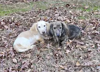 processed/e9d9056a-785d-427d-8488-d78ce6eef194/listing/71bad4b5-386d-4df0-8720-543640410113/abeee5a0-6a95-48ad-a26a-048cb8d17e27