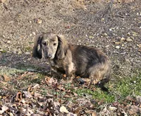 processed/e9d9056a-785d-427d-8488-d78ce6eef194/listing/71bad4b5-386d-4df0-8720-543640410113/c60f276d-b5c4-41a2-96c3-3690f57ed865