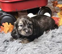 processed/e9d9056a-785d-427d-8488-d78ce6eef194/listing/71bad4b5-386d-4df0-8720-543640410113/d449ae97-a7ac-4c64-a6c4-3b782696647f