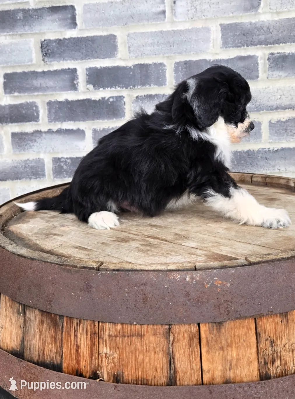 processed/e9df9cdc-d092-4453-8c93-b43ba803cecb/listing/655695a5-44d1-4428-abd8-2829ba7480b3/312b864e-1808-4321-8573-24397be48e80