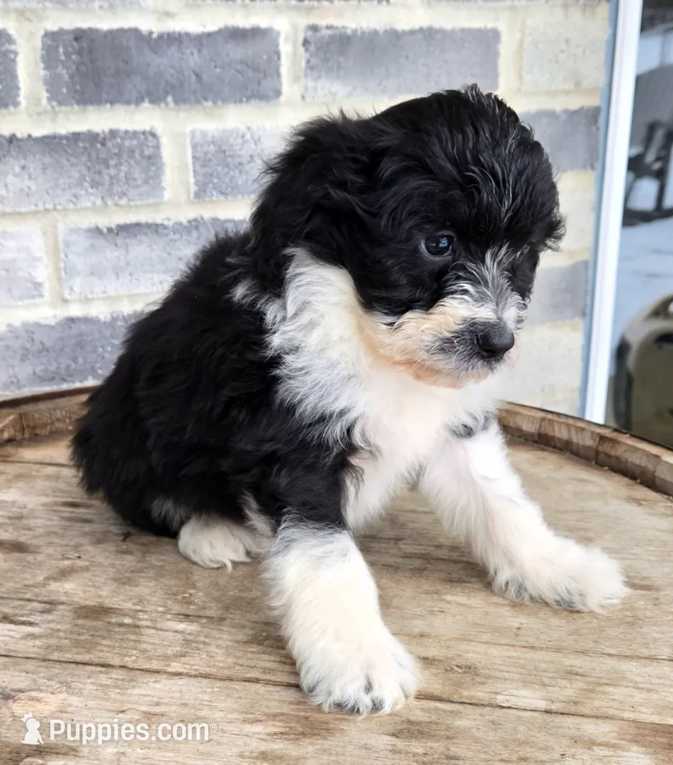 processed/e9df9cdc-d092-4453-8c93-b43ba803cecb/listing/655695a5-44d1-4428-abd8-2829ba7480b3/760972cd-3d72-4858-bdbd-13cbe71d9770