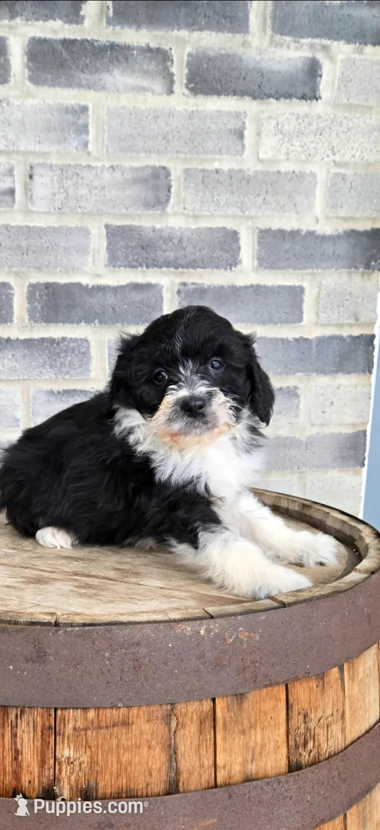 processed/e9df9cdc-d092-4453-8c93-b43ba803cecb/listing/655695a5-44d1-4428-abd8-2829ba7480b3/b134faec-aba7-4a97-b63f-d35e42b5c4bd