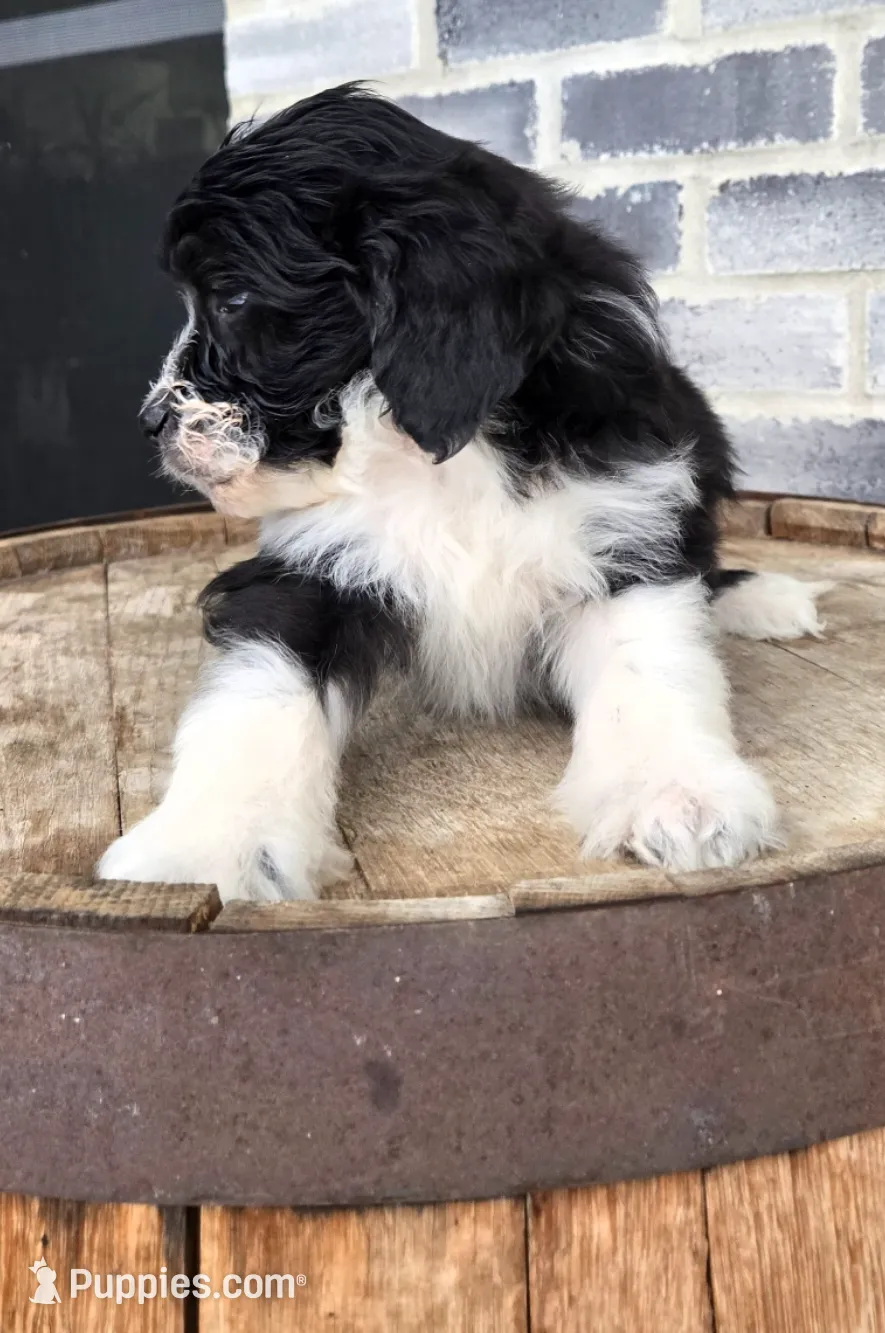 processed/e9df9cdc-d092-4453-8c93-b43ba803cecb/listing/655695a5-44d1-4428-abd8-2829ba7480b3/b507afd0-7f35-421b-97dc-16f616d2fa84